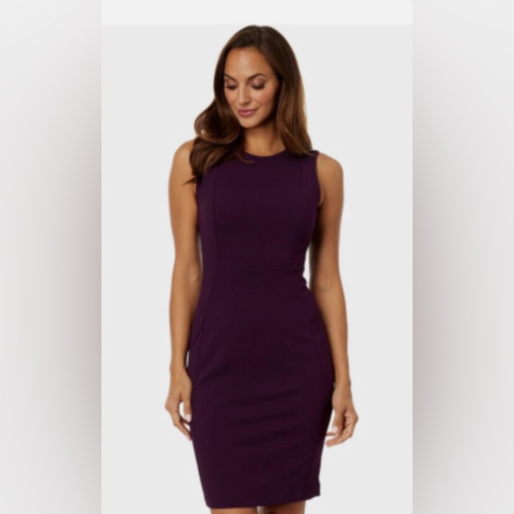 Elegant Plum Calvin Klein Sheath Dress